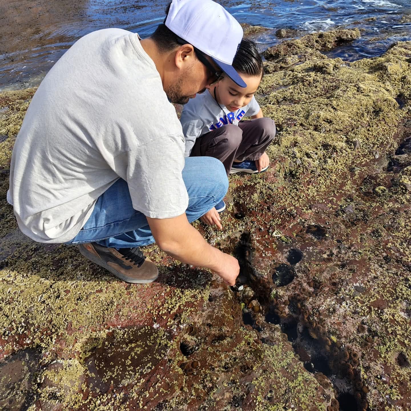 Glamping romántico frente al mar