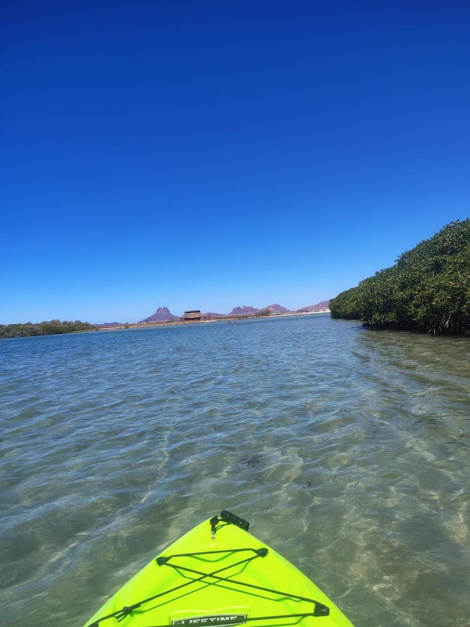 Kayak en el Mar de Cortés